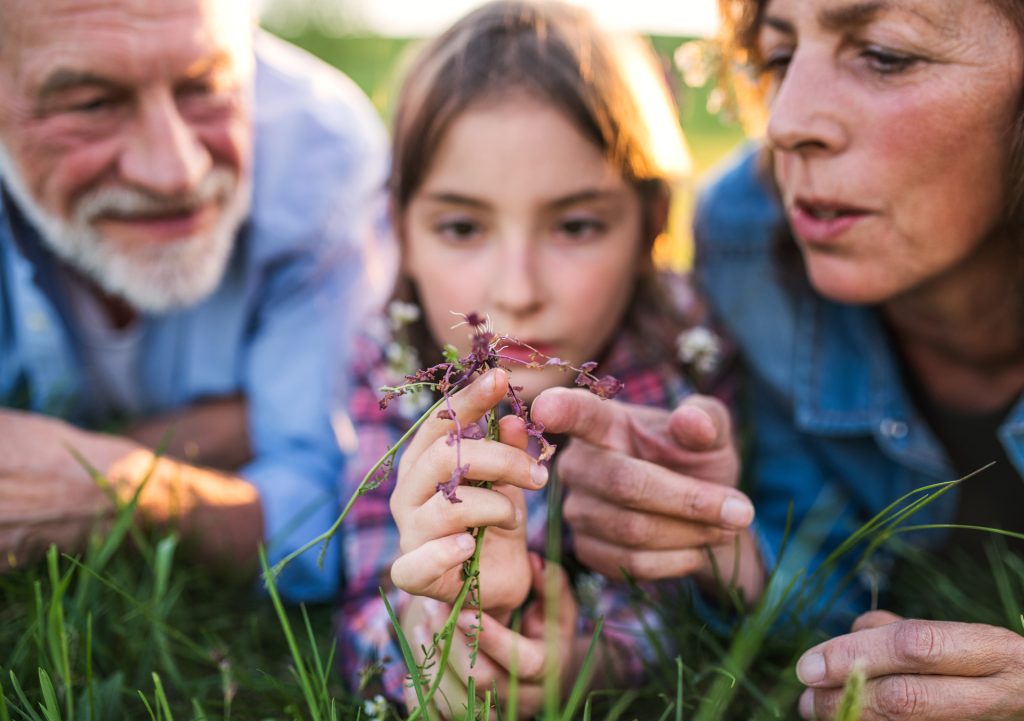 senior-couple-with-granddaughter-outside-in-Y4WNX98.jpg